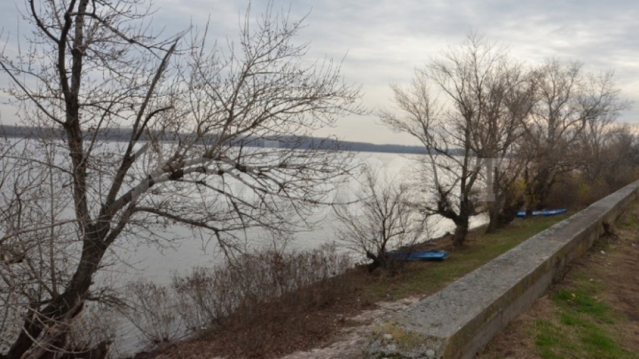 В Кошава се оплакват от липса на контрол при улова на риба в Дунав