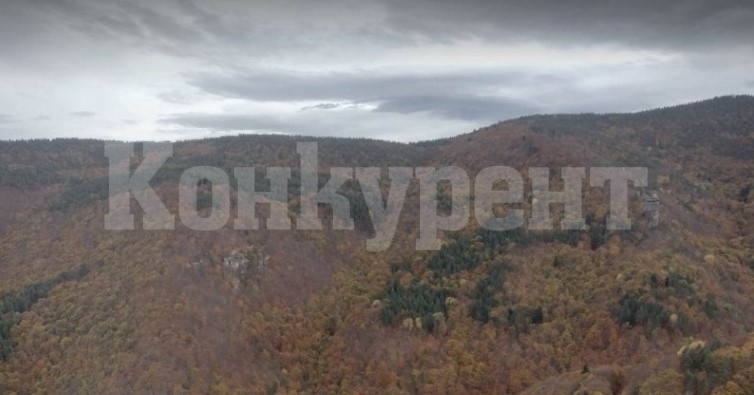 Застреляха ловец по време на хайка