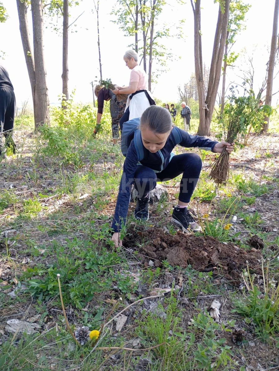 Над 120 доброволци засадиха 2 000 дръвчета в землището на Долна Кремена