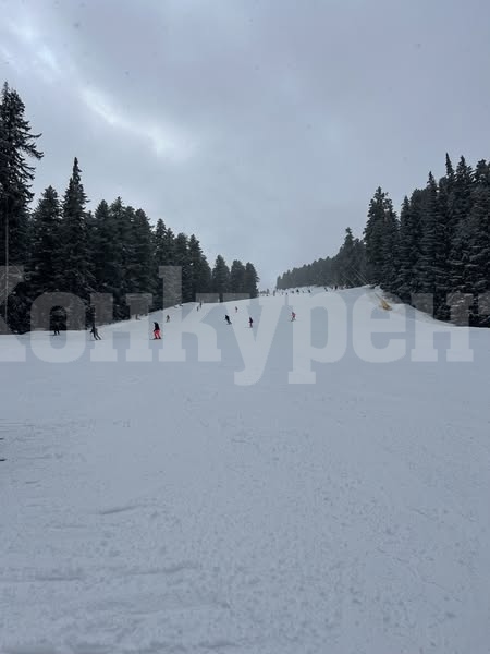 Ски училище за своите възпитаници организира ППМГ \