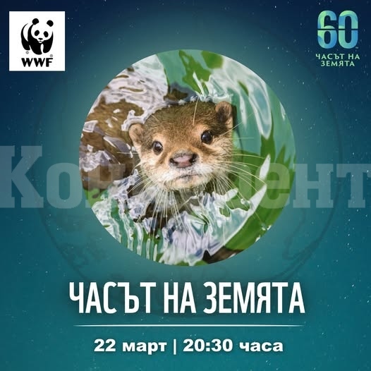 Видин се включва в инициативата на WWF „Часът на Земята 2025: Абонирай се за природата“