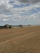 Продава се апетитна земя във Врачанско