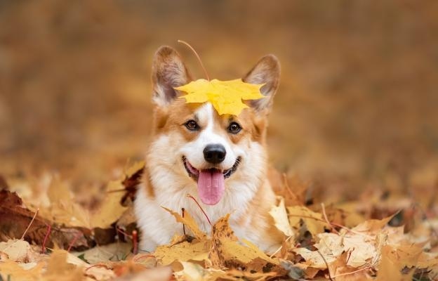 Вижте какво ще е времето в съботния ден