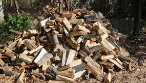 Полицаи и лесничеи откриха незаконни дърва в частен имот