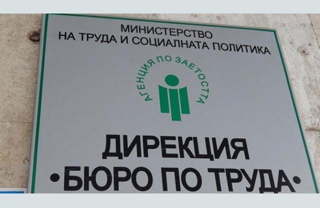 В Бюрото по труда в Монтана са обявени 15 свободни работни места за висококвалифицирани специалисти