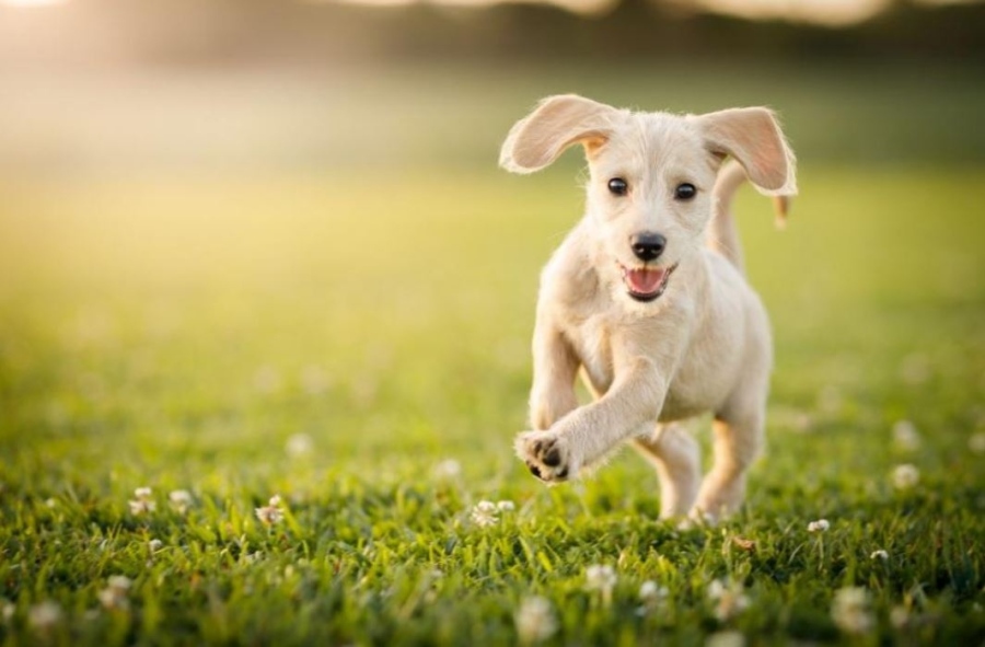 Седмицата започва със слънчево време