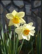 Вижте с какво време започва седмицата