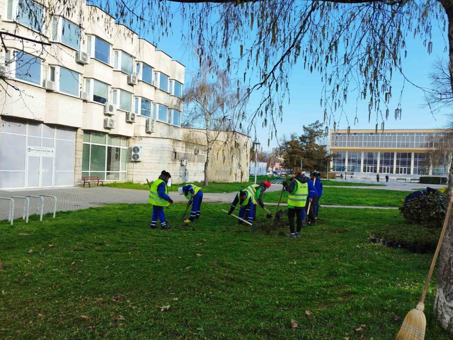 500 нови рози ще красят Видин от тази пролет