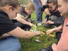 Ученици от Враца научиха как се създава  устойчива гора