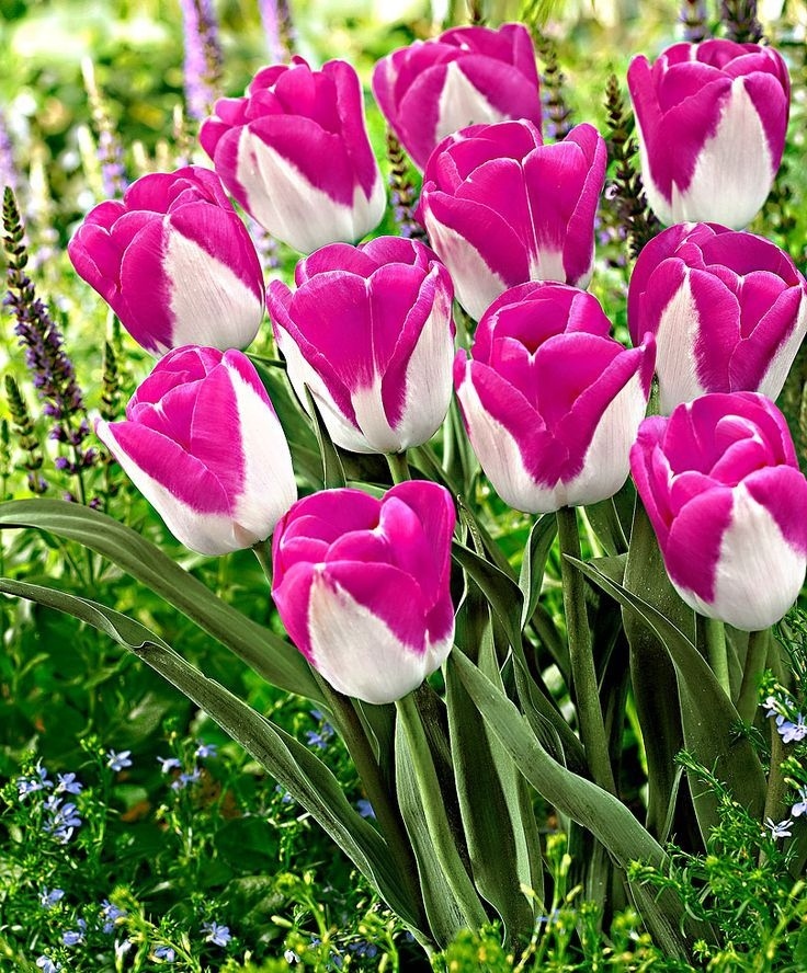 Вижте какво време ни очаква в събота