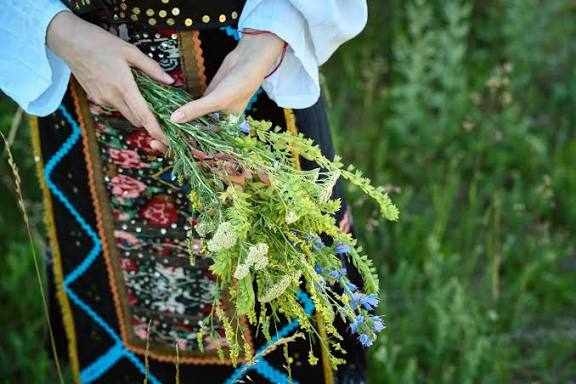 Еньовден е – именници, обичаи, бране на билки
