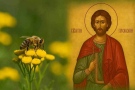 На 8 юли имен ден празнуват силни имена