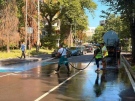  Продължава поддръжката на зелените площи във Враца