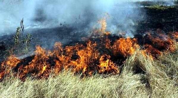 6 пожара в сухи треви са пламтели вчера в регион Монтана