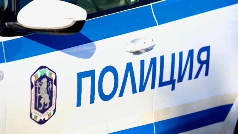МВР с акция срещу престъпността в Белоградчик: Арестуван шофьор и конфискувани незаконни дърва