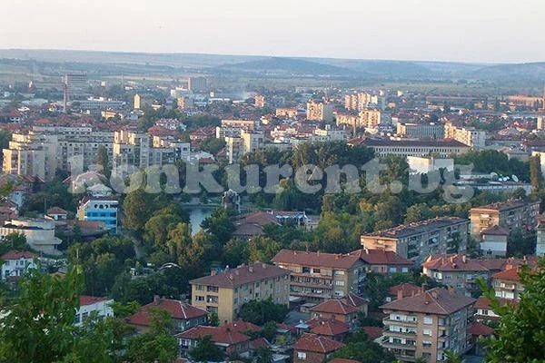Миризма на мърша мори Монтана