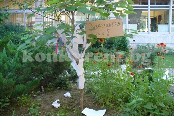 Сутрешна изненада за видинчани