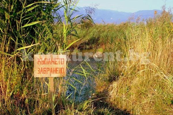 Забраниха къпането в открити и неохраняеми водоеми