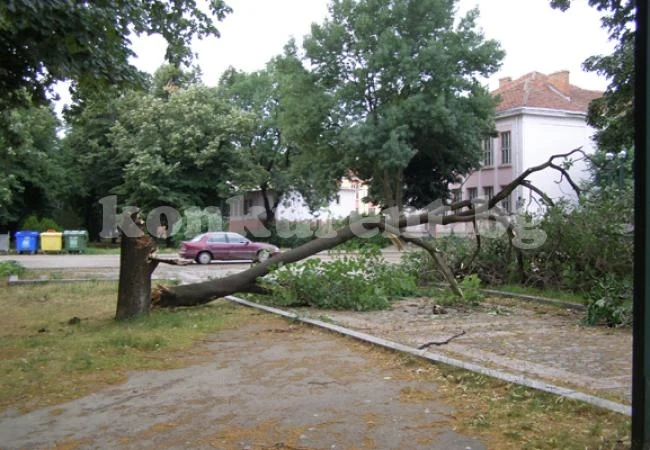 Стихии вилняха във Видинско