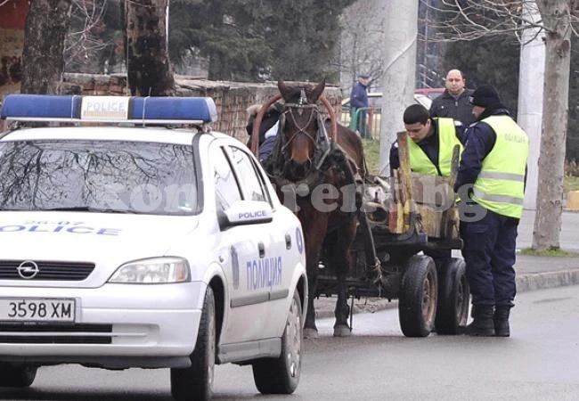 Разбеснял се кон потроши две коли
