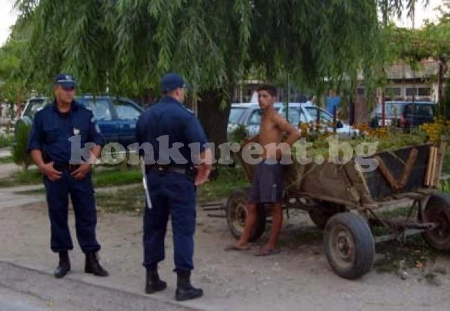 Разбеснял се кон потроши „Голф”
