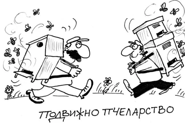Подвижно пчеларство