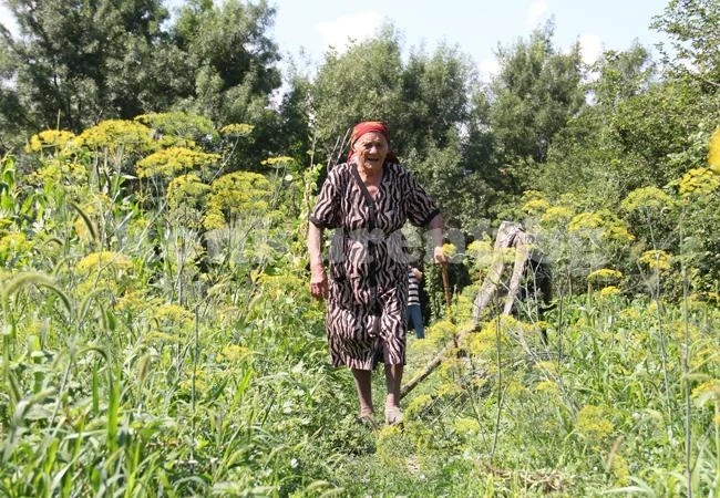 Баба от Лиляче чукна 99 години