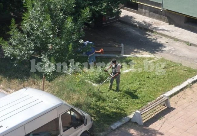 Косачи превзеха парковете в Монтана