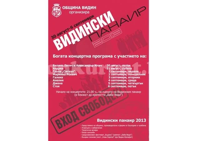 Гражданско движение скочи срещу община Видин