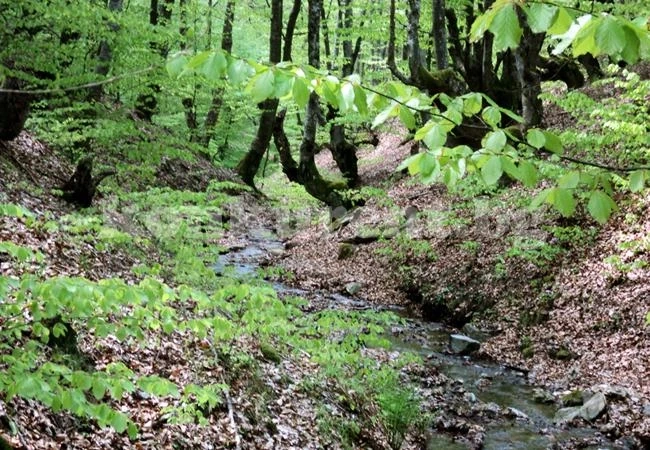 Видинско село ще стане Клондайк