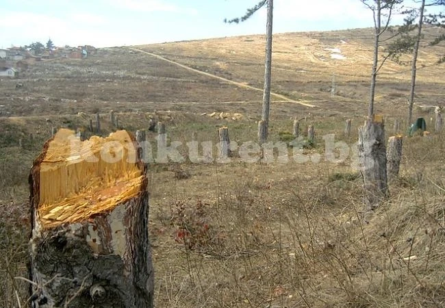 Двама в ареста след разследване за бракониерство