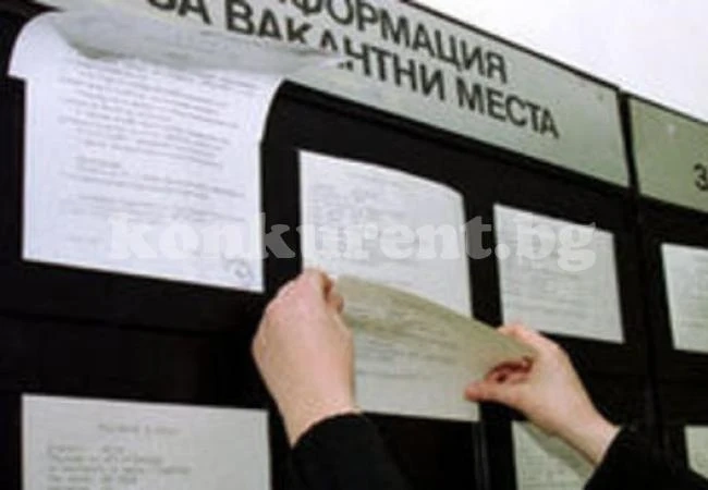 Махнаха шеф на Бюро по труда