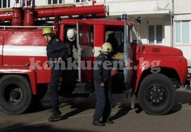 Гори кравеферма с 300 животни