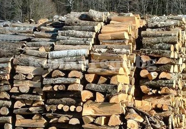 Разпределят пак дървата в Берковица