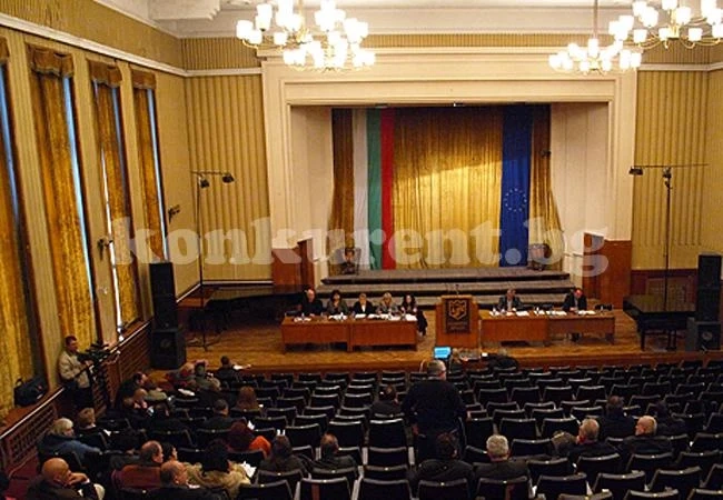 Ще заработи консултативен съвет