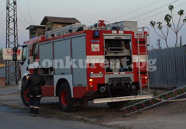 Роми опожариха 150 декара царевица
