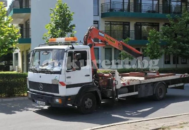 Регламентираха дейността на паяк във Враца