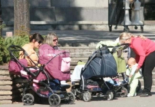 БСП настоява за по-високи майчински