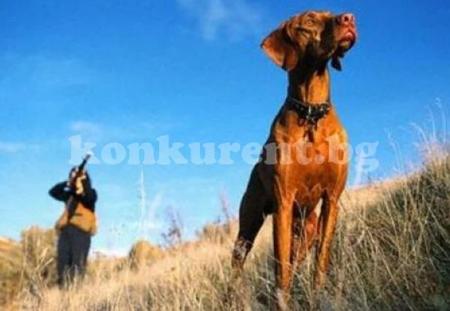 Ченгета тръгнаха на проверки по ловните дружинки