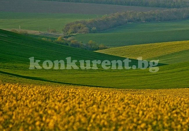 Бирници продават ниви и БМВ