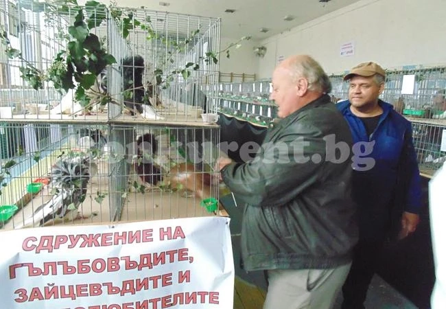 Изложение на пернати събра стотици почитатели