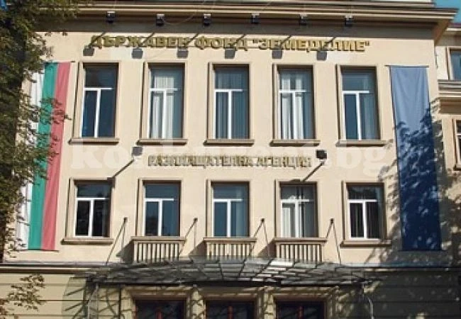 Нови оставки в ДФ \