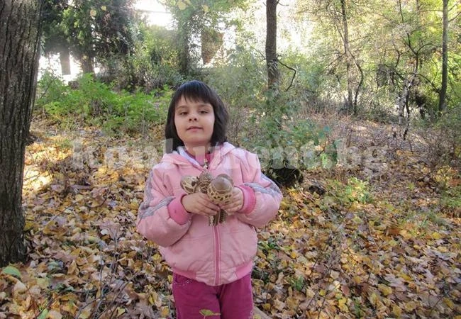 6-годишна художничка от Кула бе отличена в международен конкурс