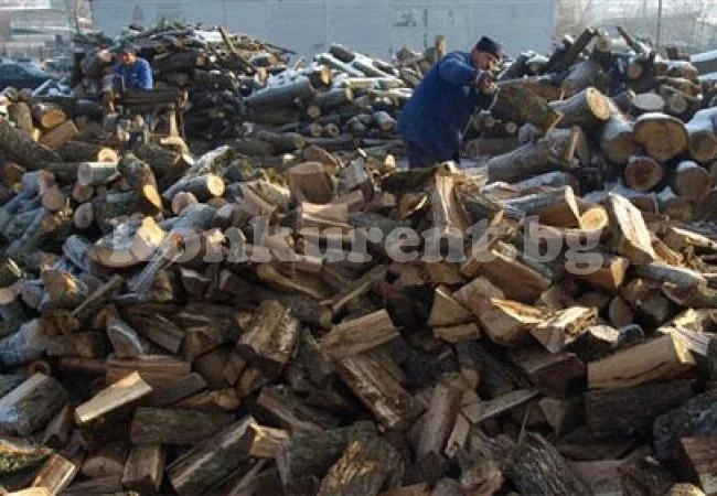Дават на прокурор измама с ваучери за дърва