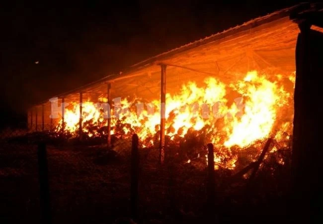 400 бали сено изгоряха при пожар