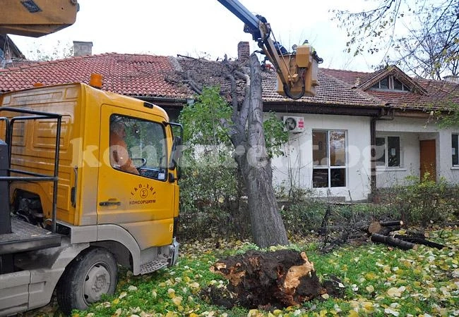 Липа потроши покрива на къща