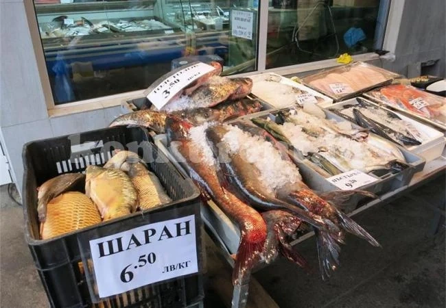 Лястовица, сом и дракон срещу шарана за Никулден