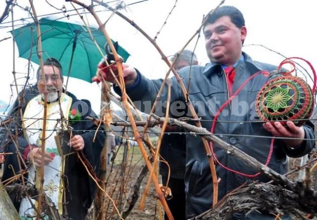 Кмет стана даскал по неволя