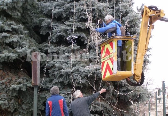 Украсяват елхата във Видин