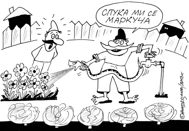 Новост
